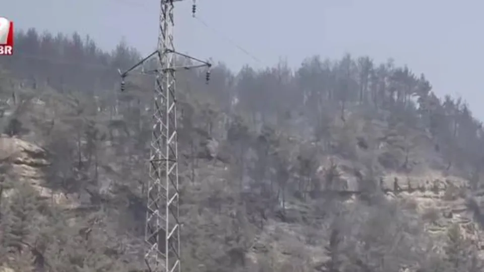 Karabük’te alevlerle mücadele sürüyor