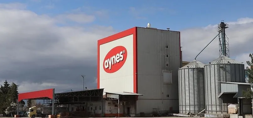 Aynes'e yeniden kayyum atanması kararı verildi