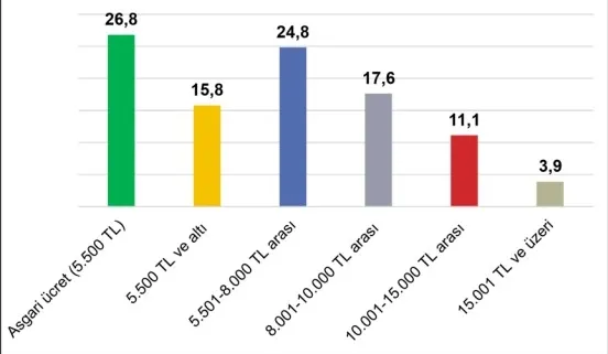 Asgari ücreti belirleme komisyonu ilk toplantısını yaptı! Kamuoyunun beklentisi ne kadar? Bakanlık anket çalışmasını duyurdu! İşte rakamlar - 7