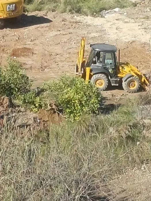CHP’li Narlıdere Belediyesi’nden ağaç katliamı! Bakanlık olaya el koydu