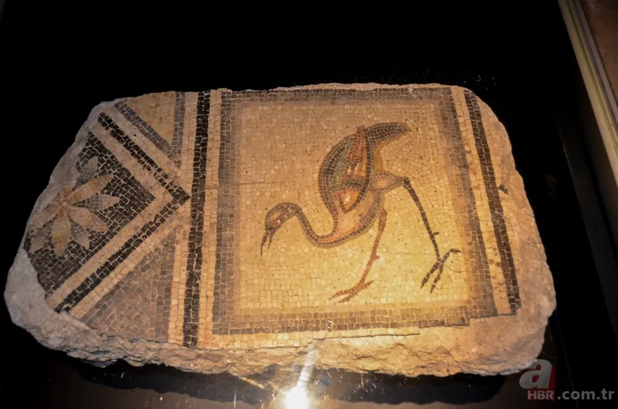 'Çingene Kızı' mozaiği Türkiye'ye getirildi 8