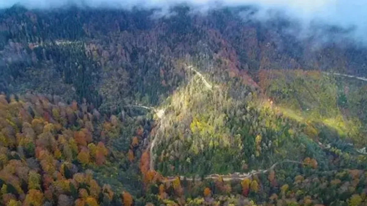 Ankara'da orman yangınlarını önlemek amacıyla açık ateş yasağı getirildi