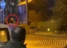 Tatilcilerin ayı paniği