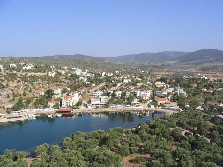 1596029167280.jpg Tapu memurunun dikkati 100 milyonluk vurgunu önledi: Suçüstü yakalandılar - 1