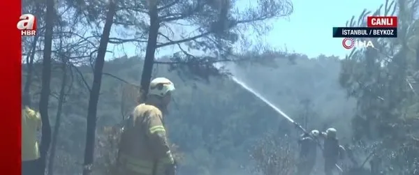 Son dakika: Beykoz'daki orman yangınıyla ilgili 1 kişi gözaltına alındı - 2