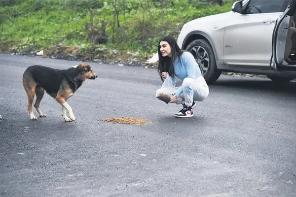 1608616991005.jpg Sokak hayvanlarını unutmadı! Burcu Kıratlı'dan alkışlanacak hareket! - 1