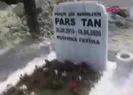Ebru Şallı oğlu Pars’ın mezarına gitti dua etti |Video