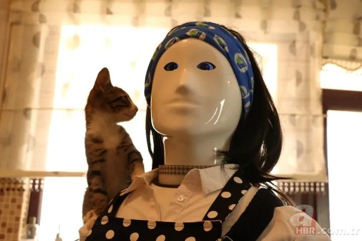 Ev hanımları onu çok sevecek: Robot Ada 18