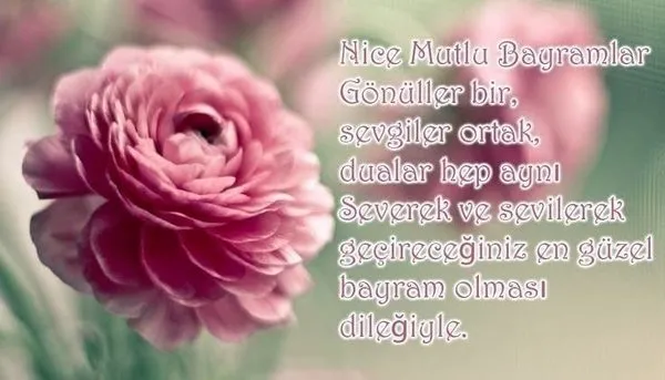 Ramazan Bayramı uzun, kısa kutlama mesajları! En farklı, anlamlı, görülmemiş Ramazan Bayramı kutlama mesajları...