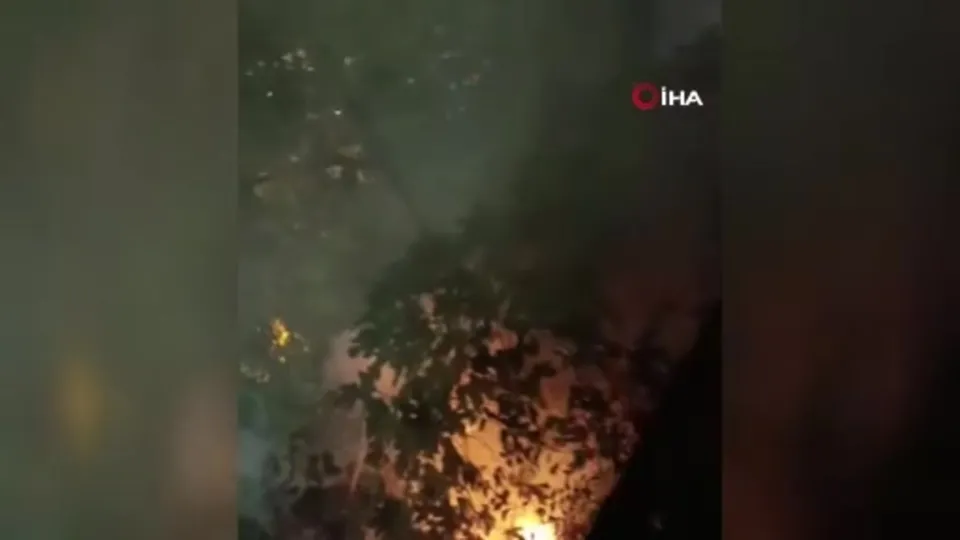 Bursa’da havai fişek yangına neden oldu