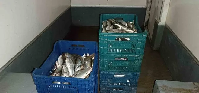 İznik Gölü'nde kaçak avcılık yapan 13 kişi yakalandı