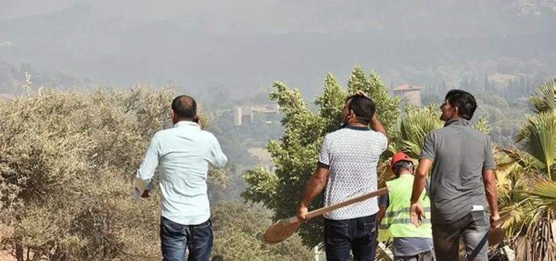 Yeşil vatan için göğüs kabartan mücadele