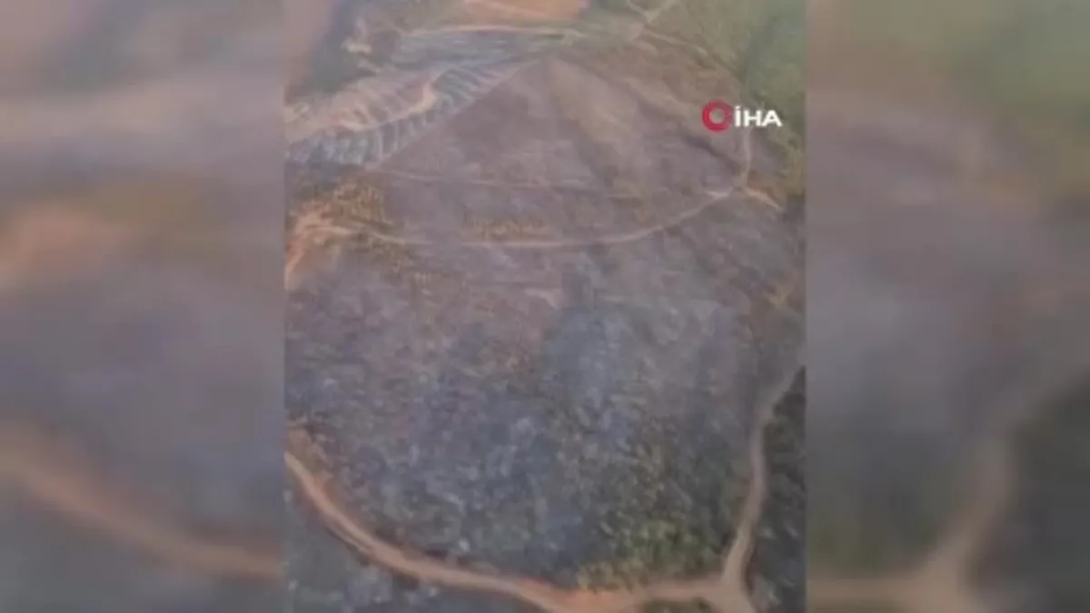 Uşak'ta iki ayrı orman yangını kontrol altına alındı