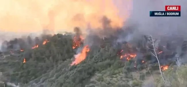 Muğla’daki Çökertme’de yangın büyüdü! Bodrum-Ören yolu kapandı A Haber ekibi o anları anbean aktardı