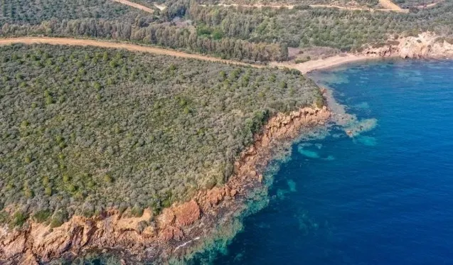 İzmir’de ormanlık alanlara giriş yasaklandı! 31 Ekim’e kadar sürecek: Uymayana ceza var