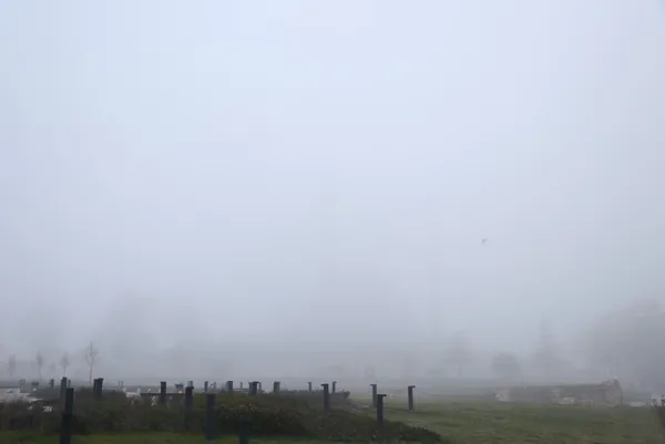 Meteoroloji'den sarı ve turuncu kodlu uyarı! Kar ve sağanak geliyor ❄ Hangi ilde kar hangi ilde yağmur yağacak? ⛈ İstanbul için saat verildi - 20