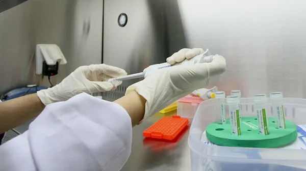 Son dakika: THY’den yeni açıklama! Koronavirüs PCR testi ibraz zorunluluğu tarihi güncellendi!