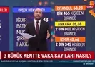 Son veriler açıklandı! Hangi illerde kısıtlamalar kaldırılacak?