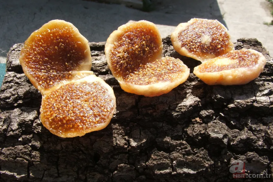 TasteAtlas açıkladı: Dünyanın en iyi inciri Ege’den çıktı 5