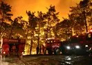 Mersin’de orman yangını! Müdahale sürüyor