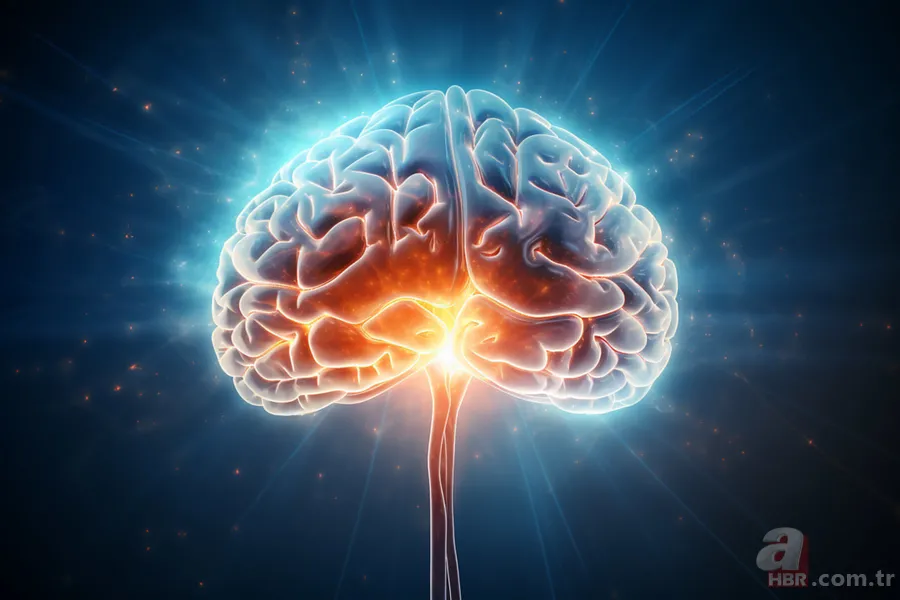 B12 vitamini hangi besinlerde bulunur? Eksikliği önlemenin lezzetli yolları 5