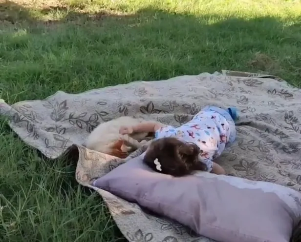 Adem Topkara ve Mukaddes Topkara kimdir? Taksim patlamasında yürekler yandı! Geriye 3 yaşındaki Eliz İlay kaldı!