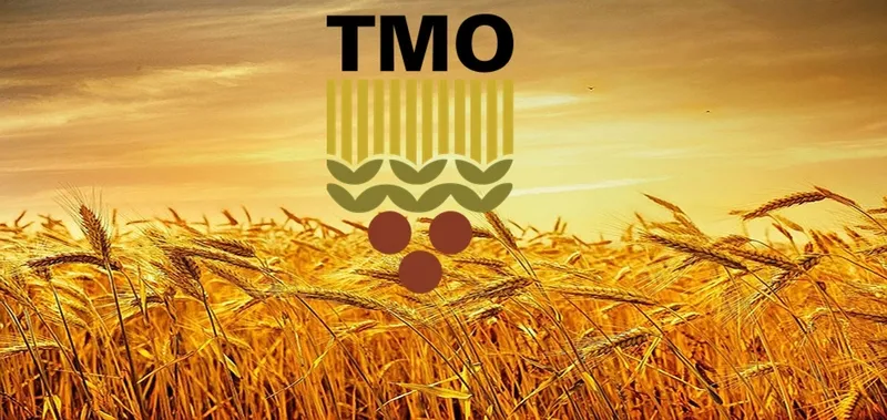 tmo-yuksek-maas-ile-memur-alimina-basladi-kpss-70-puana-sahip-adaylar-sinava-davet-edilecek-iste-sartlar-1706775794588.jpg TMO yüksek maaş ile memur alımına başladı! KPSS 70 puana sahip adaylar sınava davet edilecek! İşte şartlar… - 4