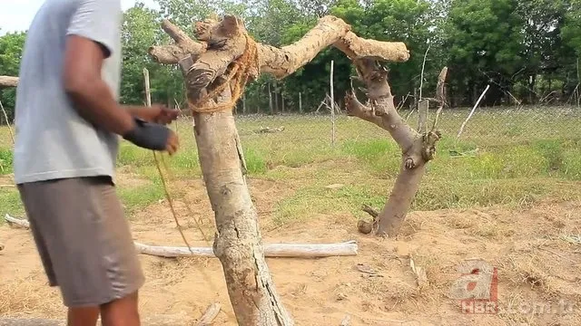 Öyle bir şey yaptı ki! Herkes hayran kaldı... 15