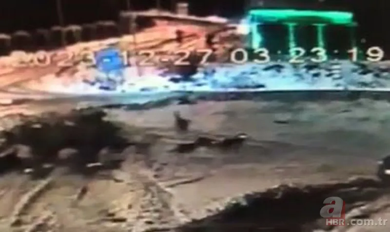 Kurt sürüsü köpeğe böyle saldırdı! Sahibi… 1