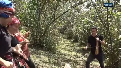 Kemençeli horonlu fındık hasadı