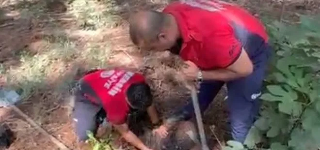 Mersin'de köpek kurtarma operasyonu