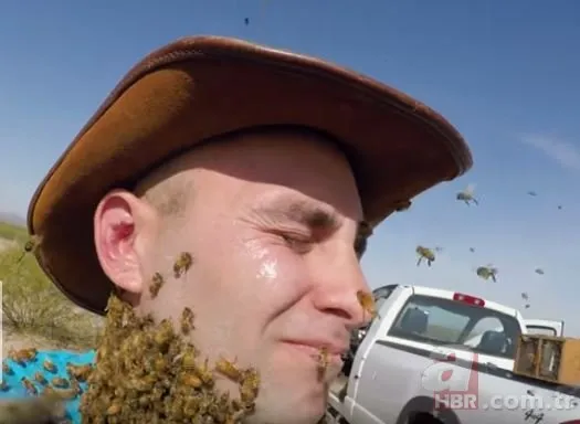 Yüzünü bilerek binlerce arıya sokturdu! Bakın sonunda ne oldu?