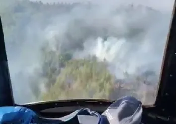 Son dakika! Alanya'da orman yangını çıktı