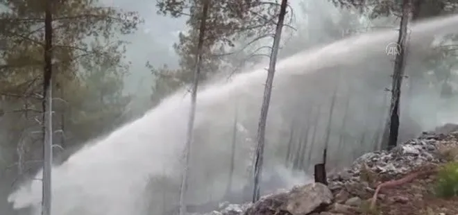 Son dakika: Adana Yüreğir’deki orman yangını kontrol altına alındı