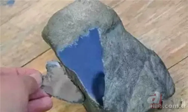 Yürüyüşe çıktı hayatı değişti! Değeri dudak uçuklattı 8