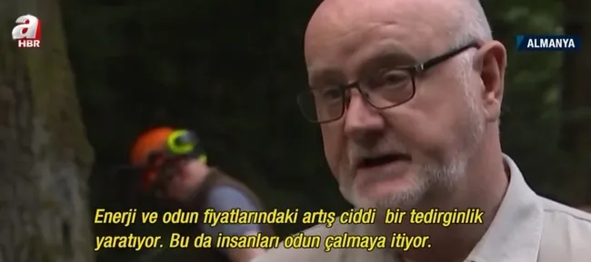 Almanya’da odun hırsızlığı! Çalınmaması için odunlara GPS takıldı