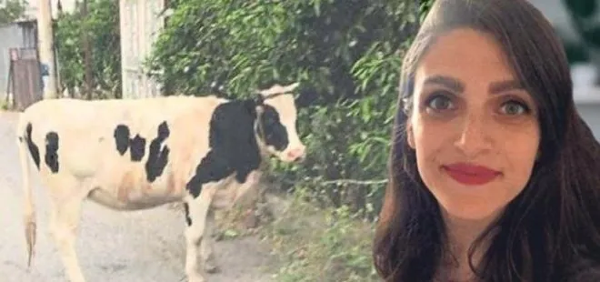İzmir’de eski eşinin uzaklaştırma aldırdığı kadının inek paylaşımı başını yaktı! Ailesine de ceza geldi