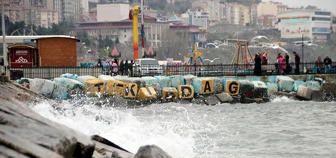 Marmara Denizi'nde ulaşıma lodos engeli