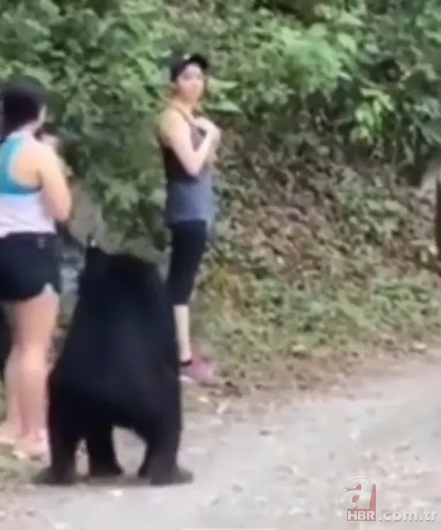 Görüntüler Erzurum’dan… Ayı çobana saldırdı! ‘Ayının altından kurtuldum ve…’🐻 10