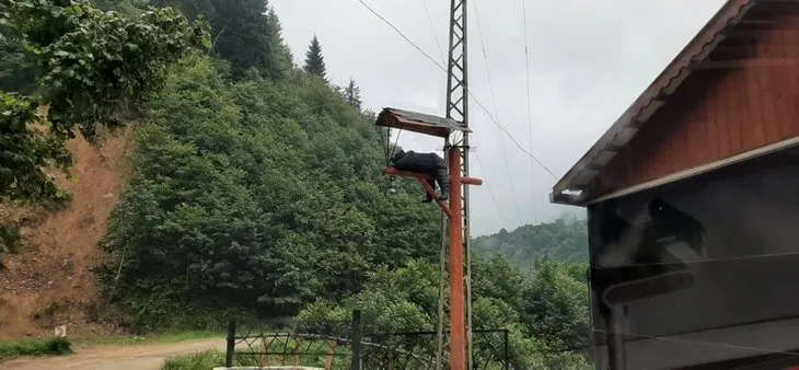 Rize'de görenleri hayrete düşüren manzara! İlgi odağı oldu