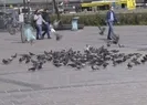 Eminönü Meydanındaki kuşları arabasıyla ezdi