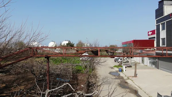 Son dakika | Tavuklarına özel köprü yaptı! Hayretler içinde kalacaksınız - 2