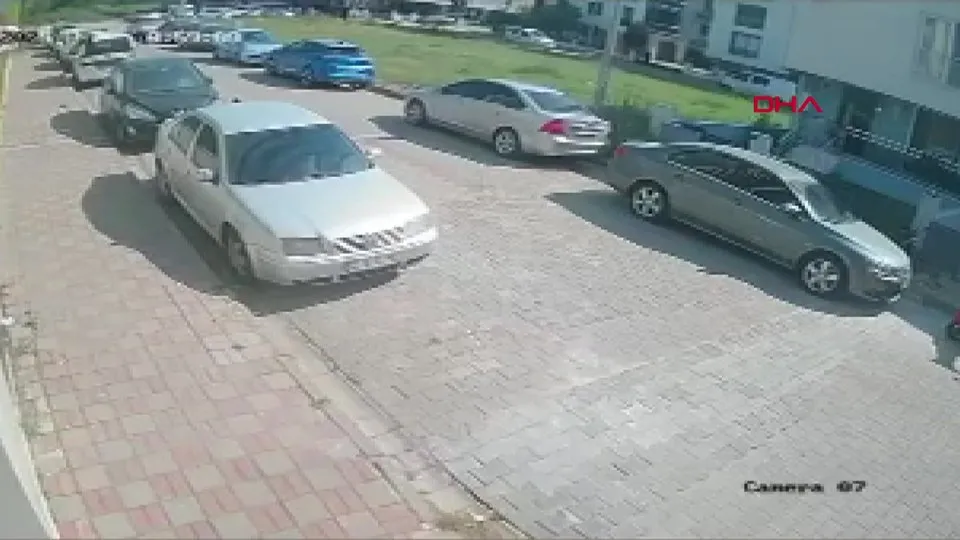 Aydın’da sokak köpeği dehşeti! Saldırıdan kaçarken otomobile çarptı