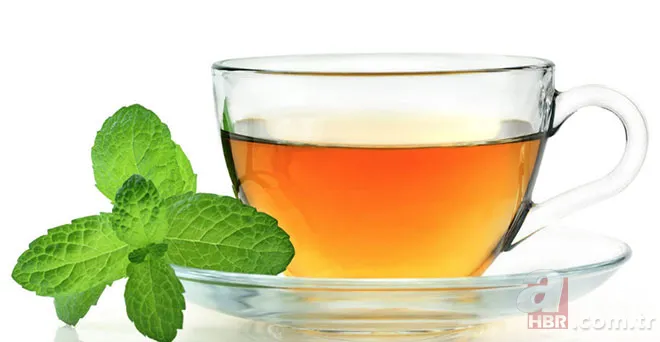 Adaçayı... Ihlamur... Kuşburnu... Hepsi doğal şifa deposu! Hangi bitki çayı neye iyi geliyor? İşte yanıtı... 19