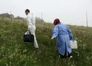 Yaylalarda aşı mesaisi! Kapı kapı dolaşıyorlar