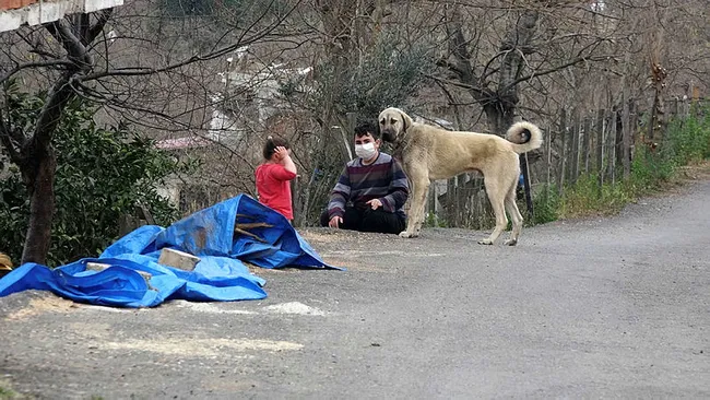 Giresun’da mahalleye inen kurtlar için vatandaş sopalı ve baltalı nöbet tutuyor - 4