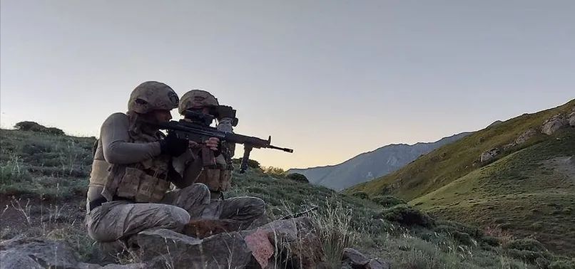 5 PKK'lı terörist etkisiz hale getirildi!