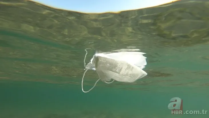 Deniz, maske çöplüğüne döndü! Çevre kirliliğini dalgıçlar görüntüledi