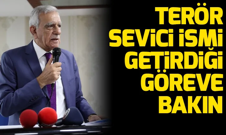 HDP’li Ahmet Türkten tepki çekecek karar