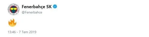 Fenerbahçe Vedat Muriç ile 4 yıllık anlaştı - 1